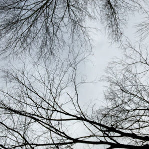 Meet your Posher, Ayaka